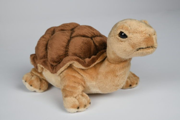 Plüsch Landschildkröte 19cm